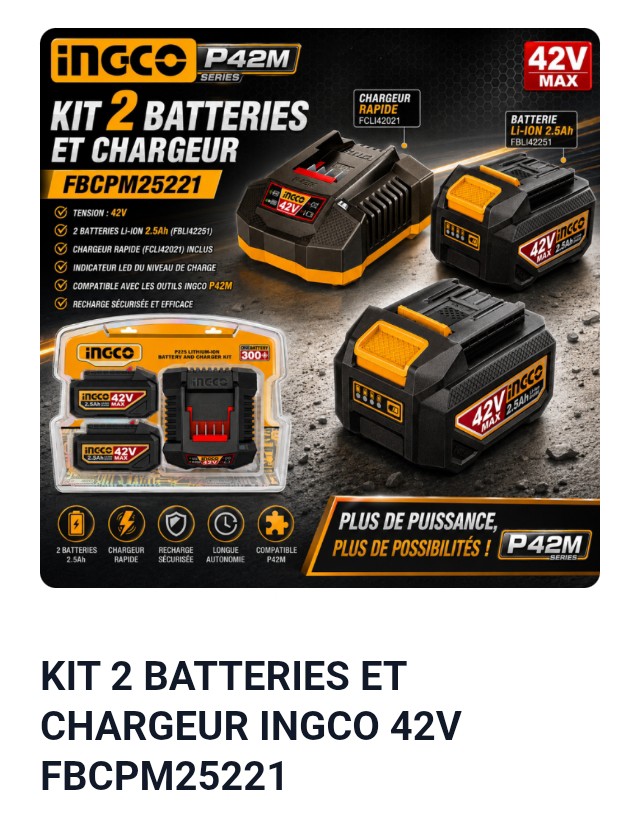 KIT 2 BATTERIES ET CHARGEUR INGCO 42V FBCPM25221