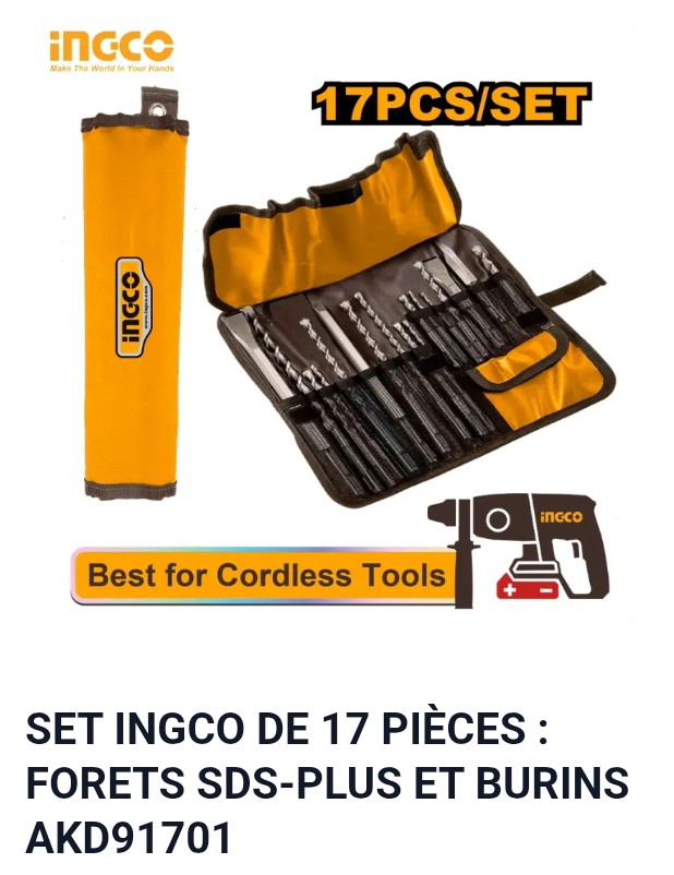SET INGCO DE 17 PIÈCES : FORETS SDS-PLUS ET BURINS AKD91701